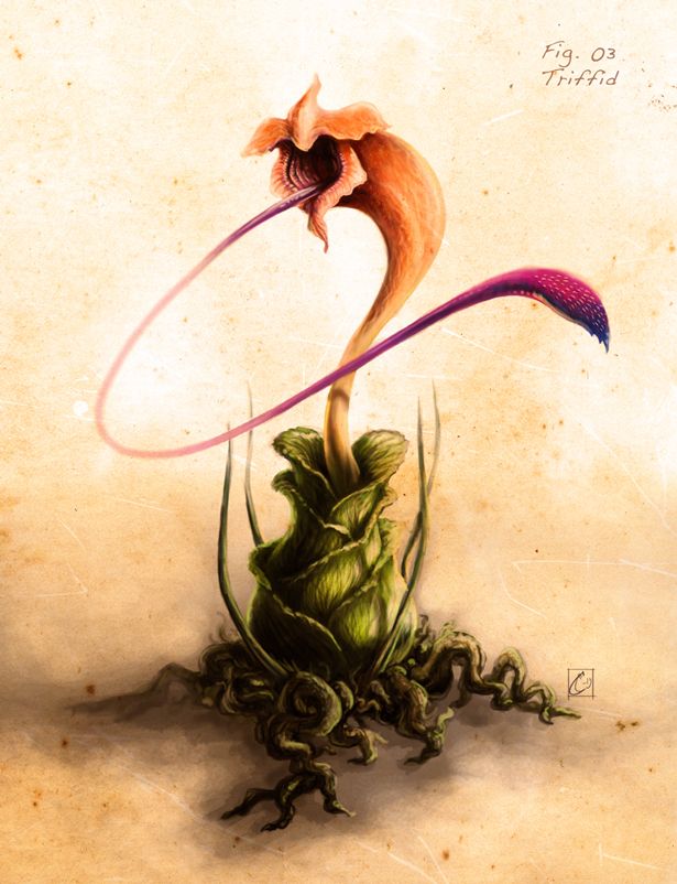 Triffid by Cthulhusaurus-Rex .jpg