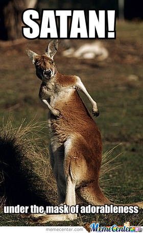 Funny-Kangaroo-Meme-Satan-Under-The-Mask-Of-Adorableness-Picture.jpg