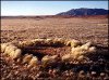 Namibia-fairy-circle.jpg