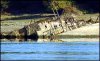 nazi-warship-wreck.jpg