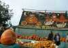 Pumpkins01.jpg