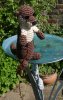 otter.jpg